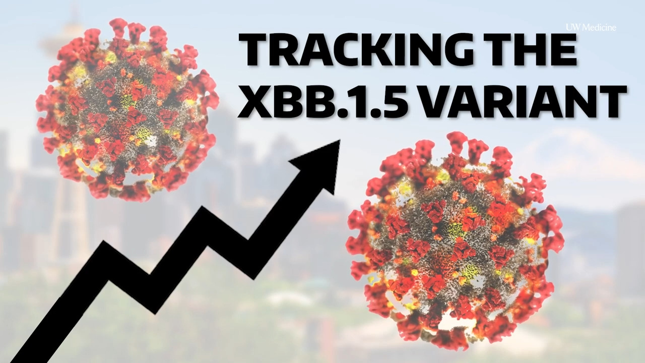 XBB.1.5 variant: current spread, outlook, and protection