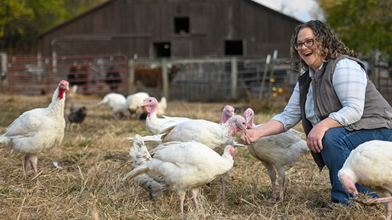 Missouri farmer practices regenerative farming to produce healthier food, including turkeys