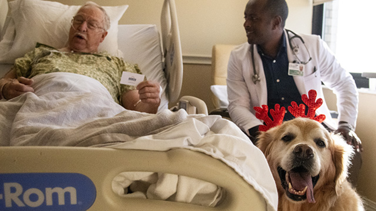 ‘People love him.’ Doctor’s golden retriever brings joy to Macon hospital patients at Christmas