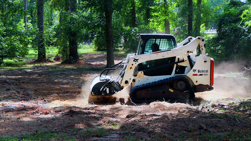 Trees Columbus gets $900K to plant hundreds of trees in parks. Learn more here