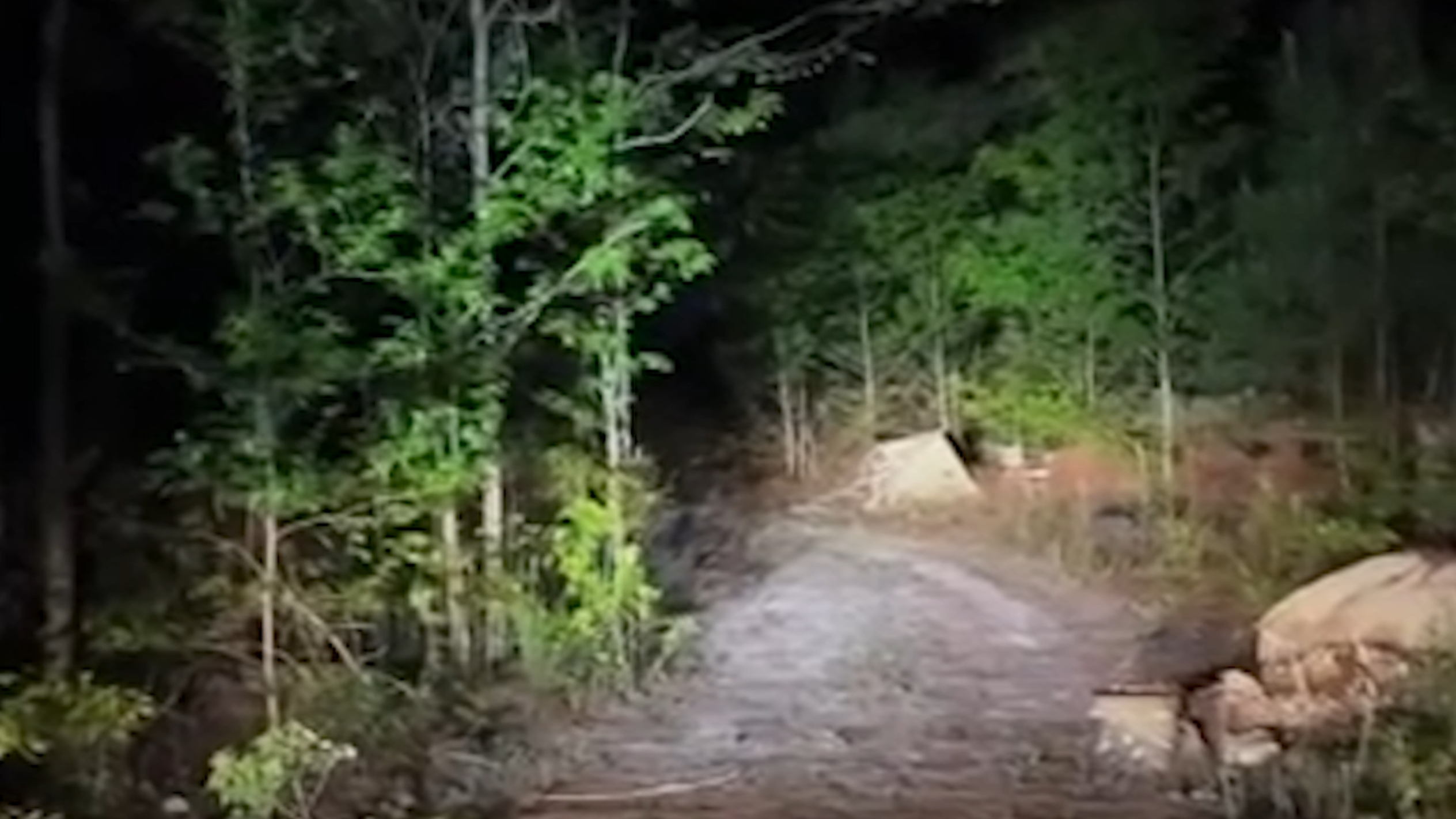 Human remains found in Macon creek, Bibb deputies investigate