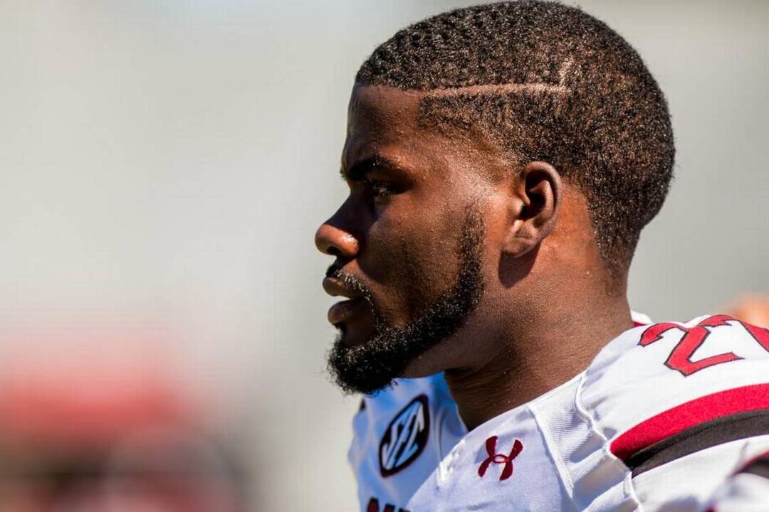 Ty'Son Williams makes his debut with the Gamecocks