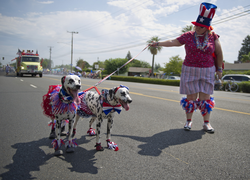 How to protect your scaredy-cat dog from fireworks on the Fourth of July weekend