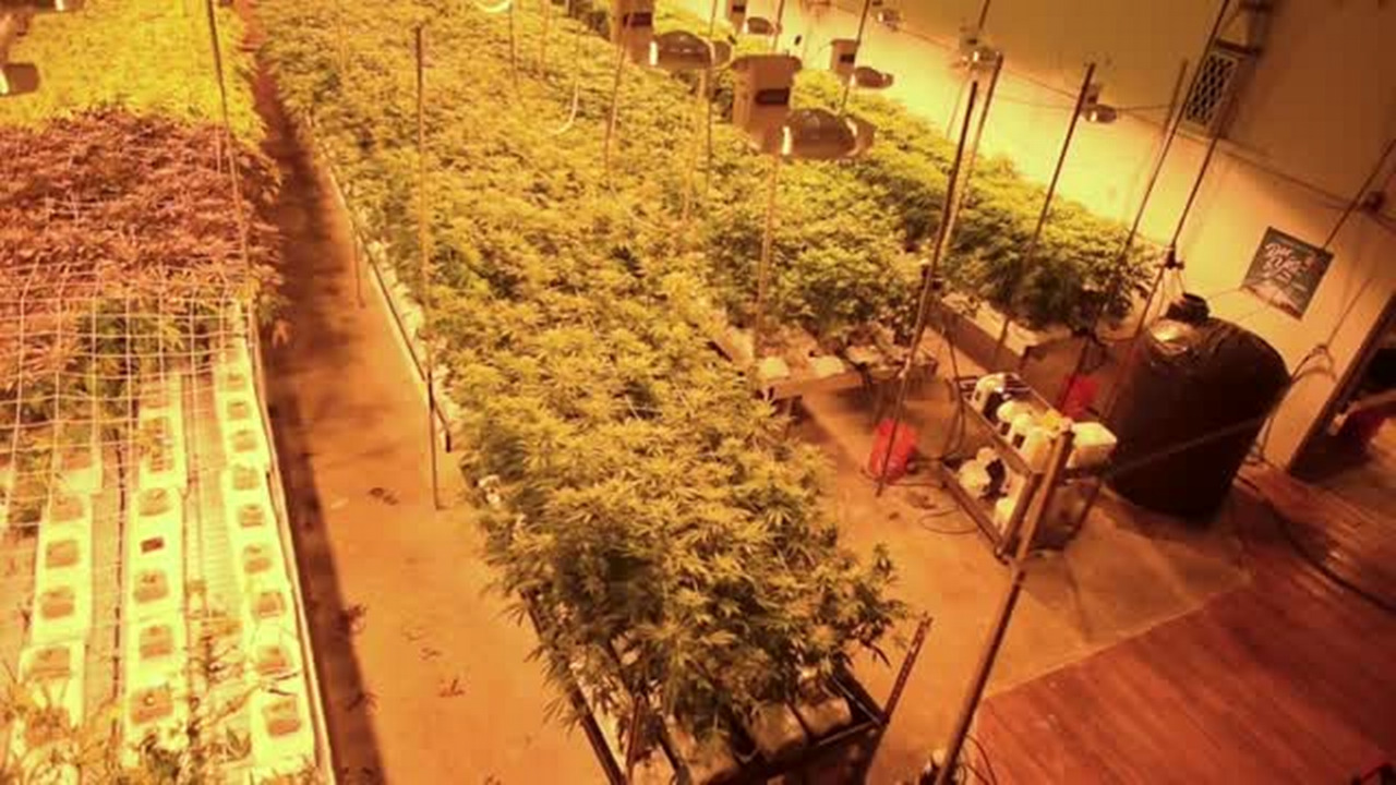 Tumwater, once known for beer, is now home to marijuana growers, processors