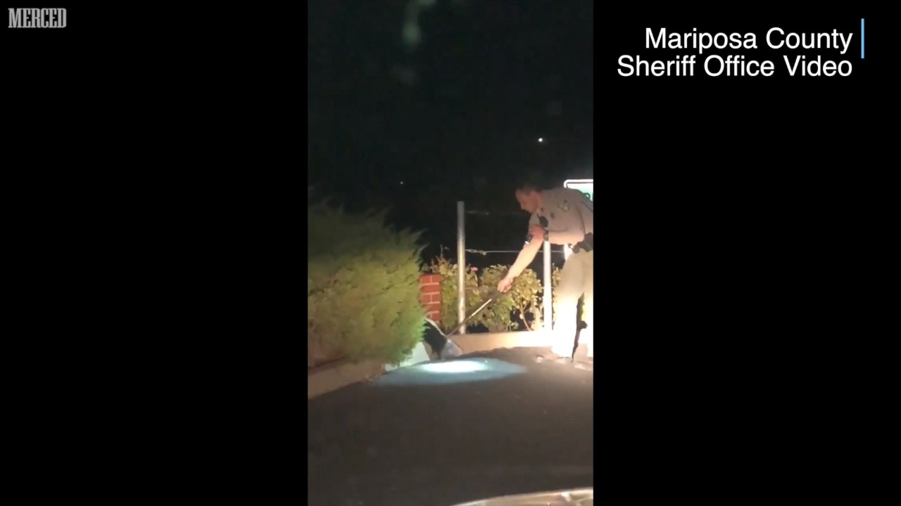 Want a break from the news? Watch a deputy help this skunk