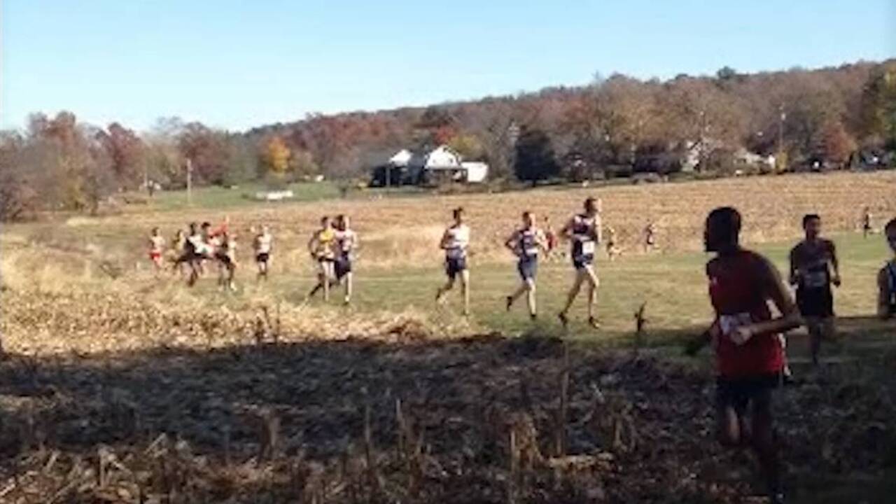 Deer hits cross-country runner during race