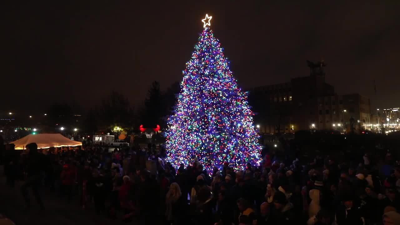 Oh, Christmas tree! Capitol tree is lit.