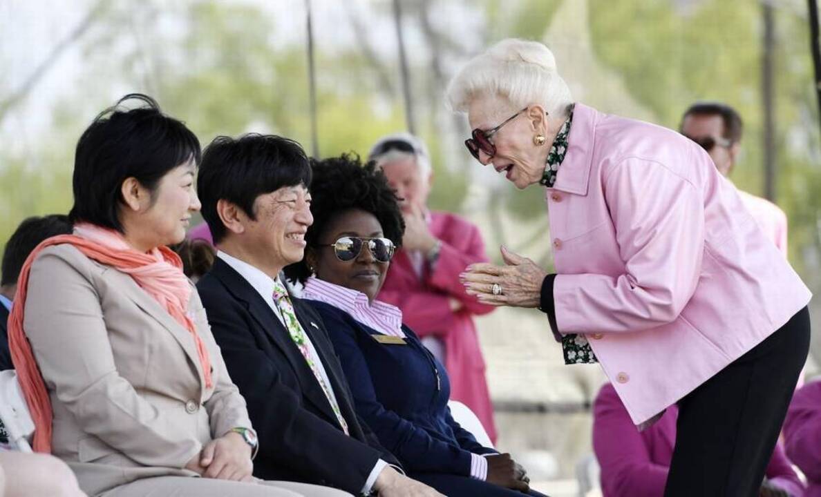 Cherry Blossom Festival begins as hopes for blooms loom