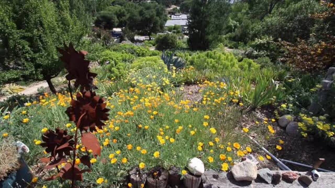 Stroll through the Tuohey-Mote garden in Atascadero