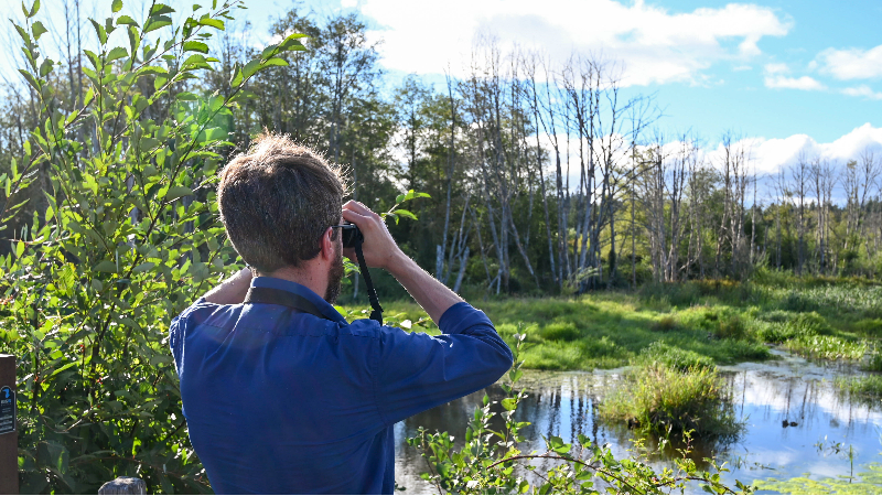 Northwest Dispatches: Discovering birding on the South Sound’s Puget Loop