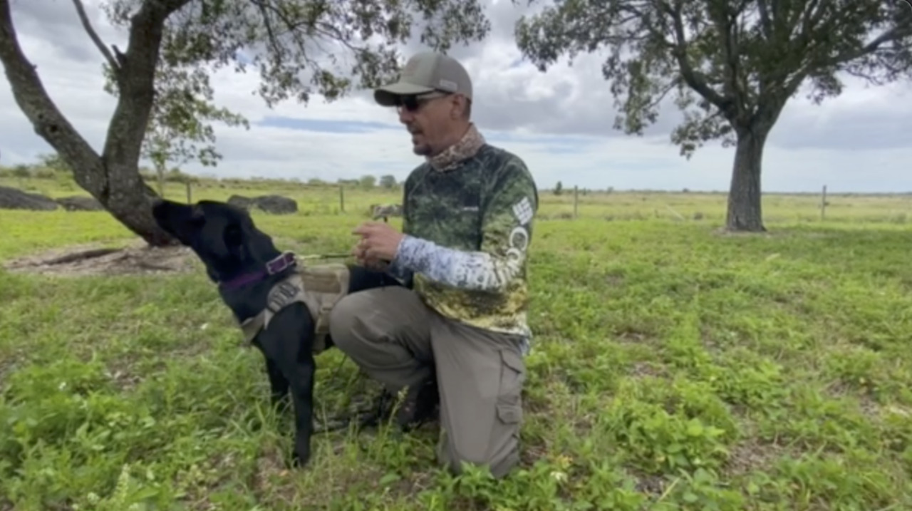 State wildlife managers have started using detection dogs to help find ...