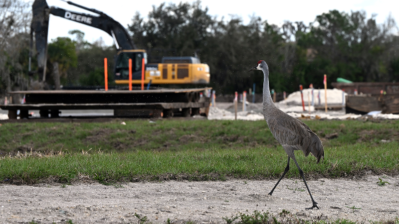 Manatee County is growing steadily. Can it be sustained?