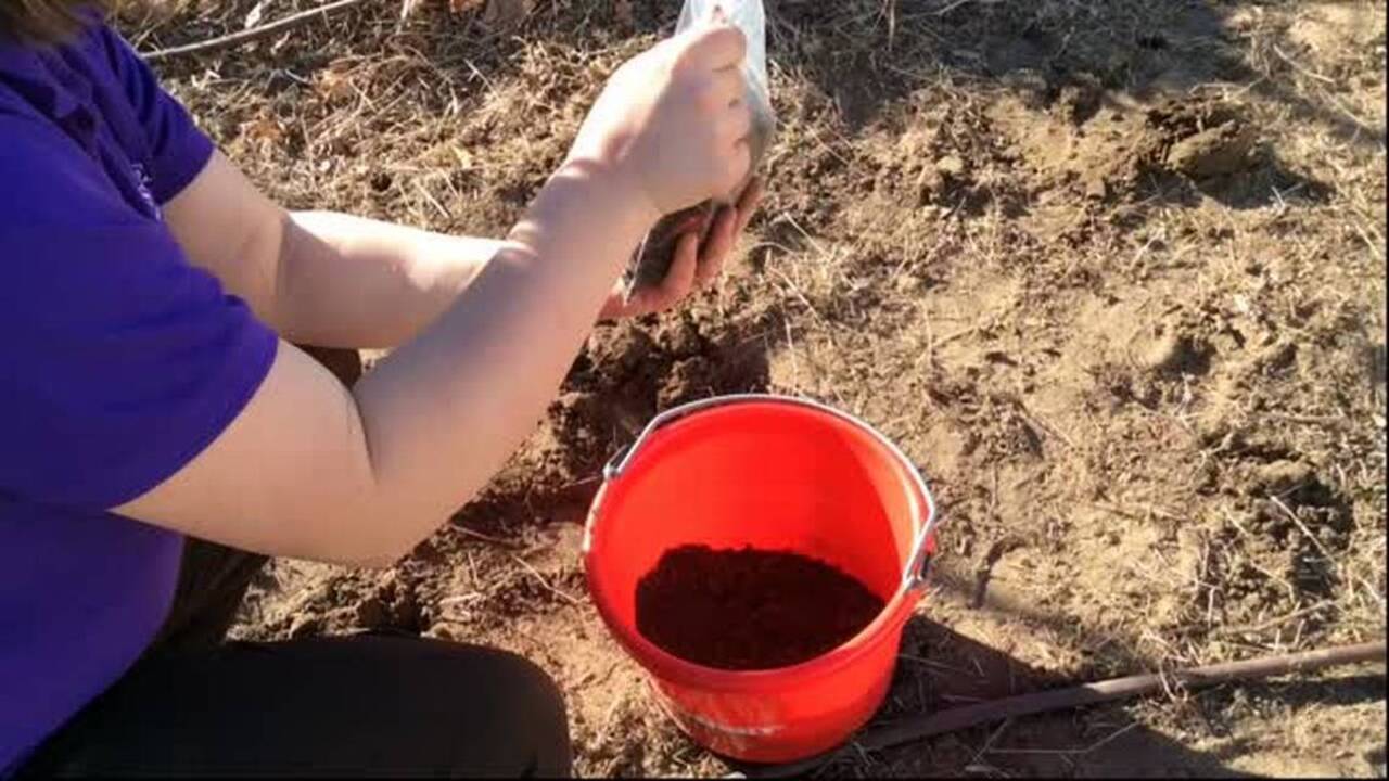 How to take a soil test