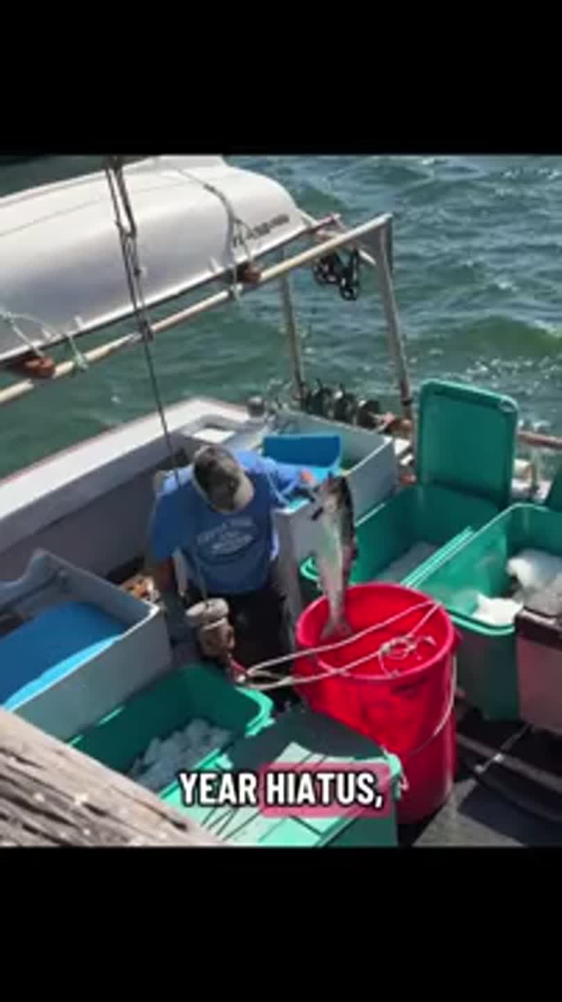 CA salmon fishery reopens after 3 years, and Morro Bay is busy