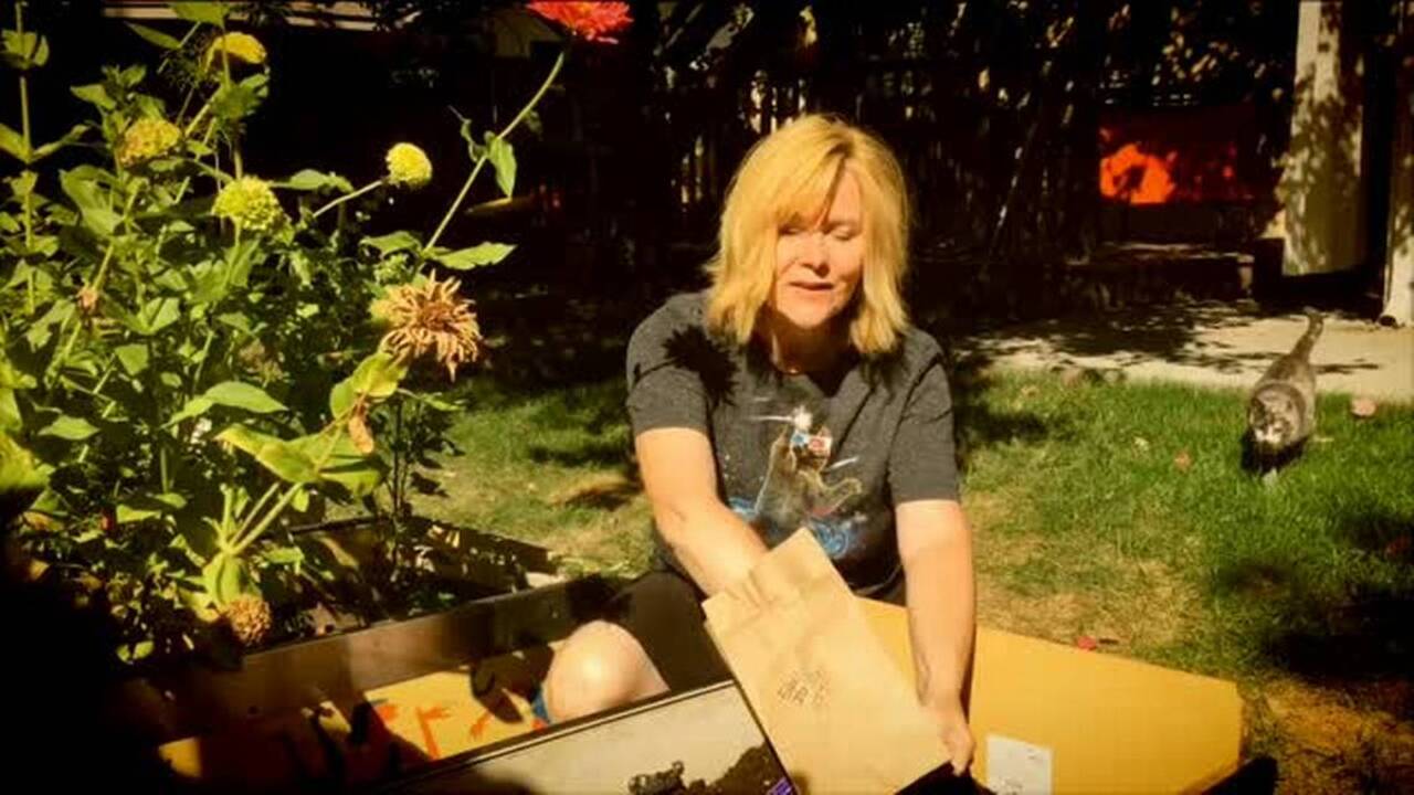 Dig In: Garlic stinks - but these planting tips don't