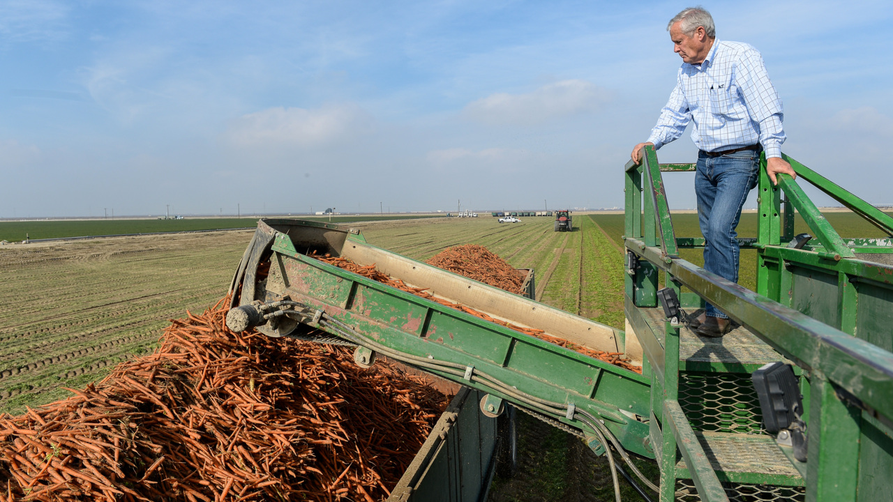 The ‘Super Bowl carrots’ on your snack tray might be from this Fresno County farm