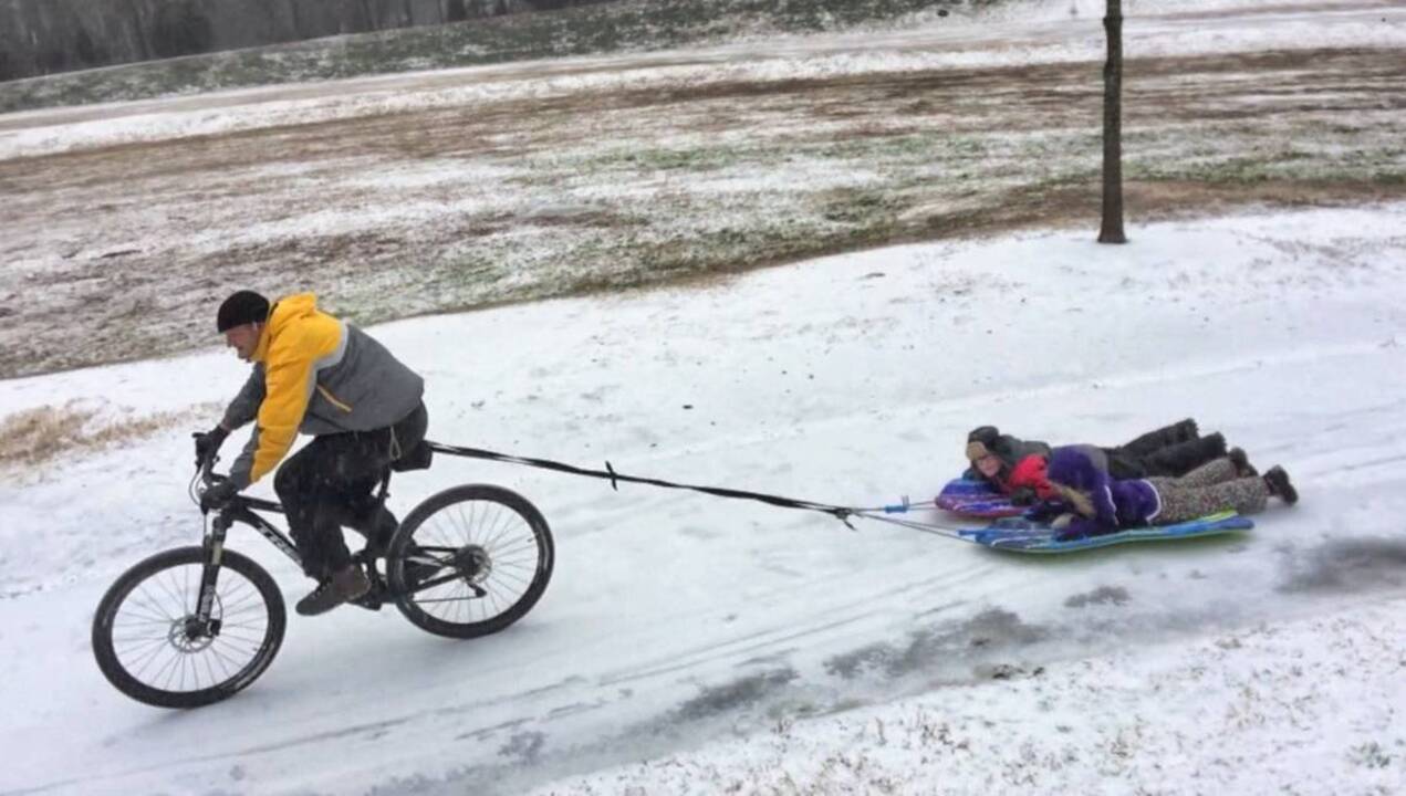Dads and dogs drag sledders in Cary