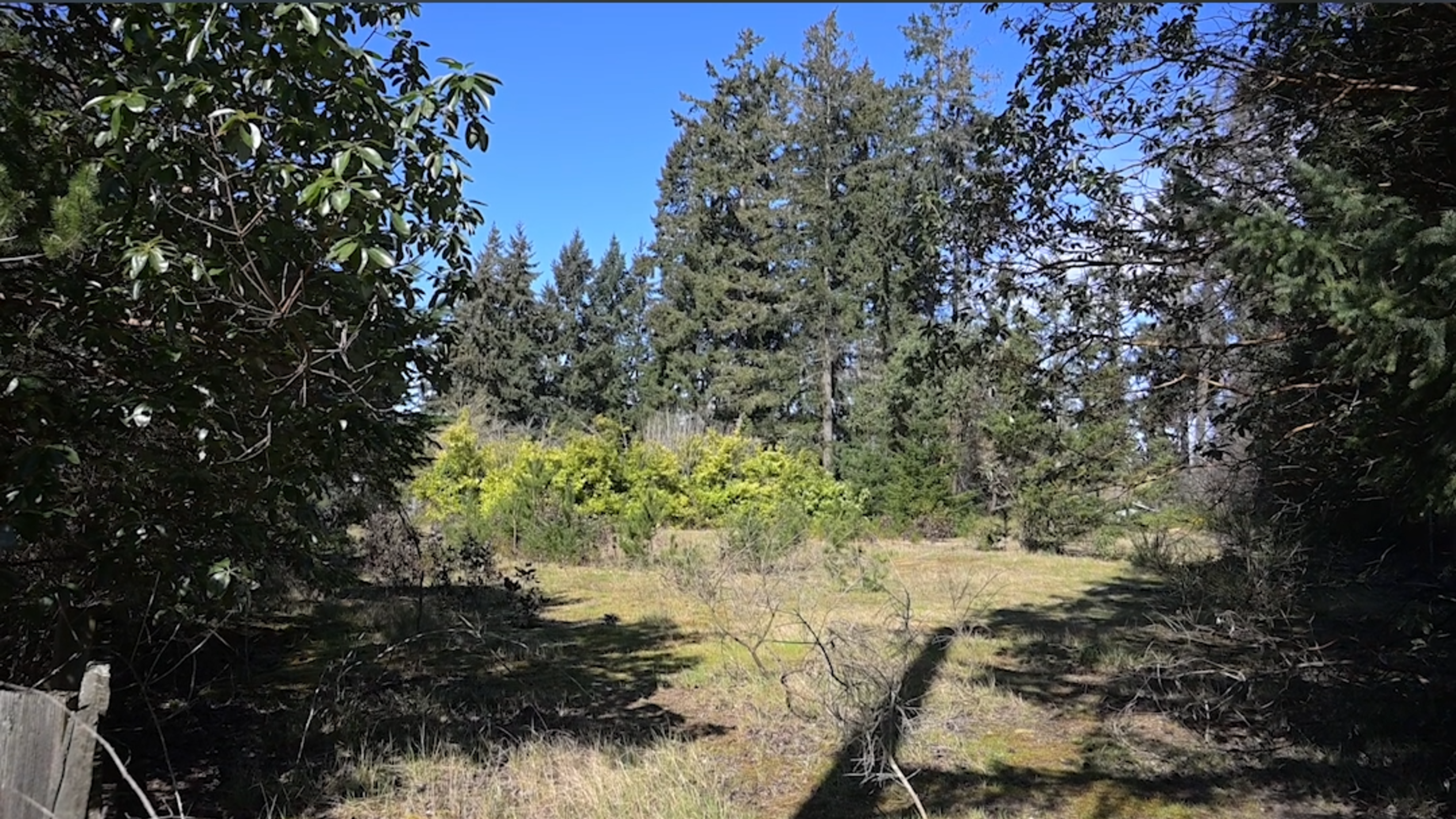 Could vacant property in Gig Harbor become future site for affordable housing?