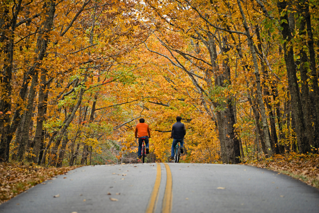 Leaf Watch 2022: Plan your trip to see Georgia’s Fall Color, here are 13 ideas