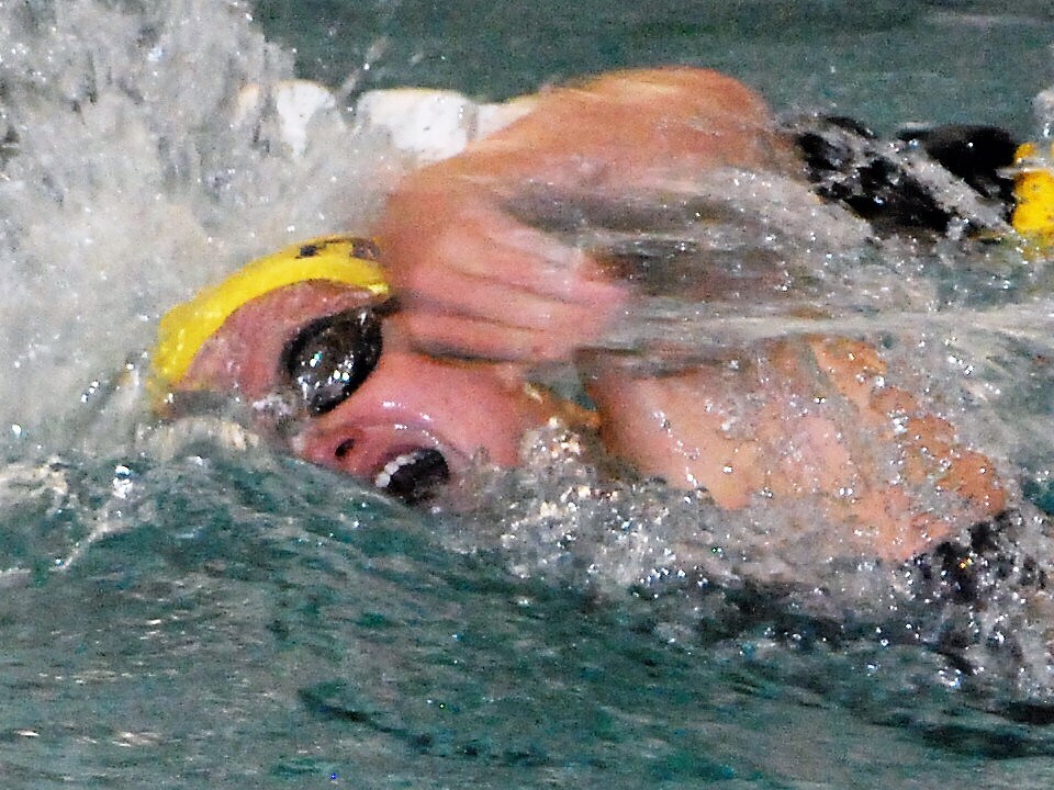 Which local swimmers brought home state championships? And did Fort Mill win a title?