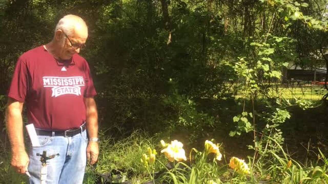 Retired football coach: ‘You look at this daylily, you’ll be hooked forever’