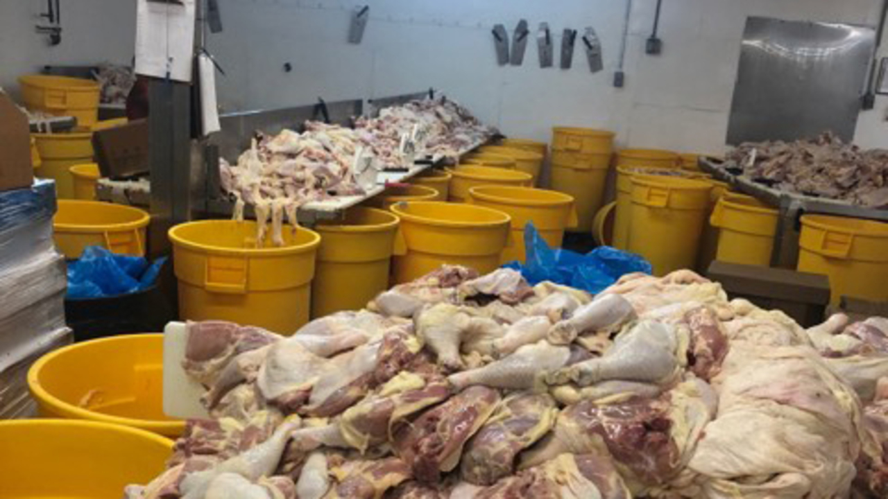 300 people released after ICE raids in Mississippi, officials say