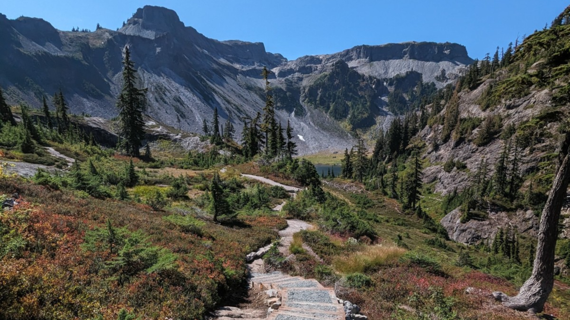 Plan adventures, store maps offline with new US Forest Service app