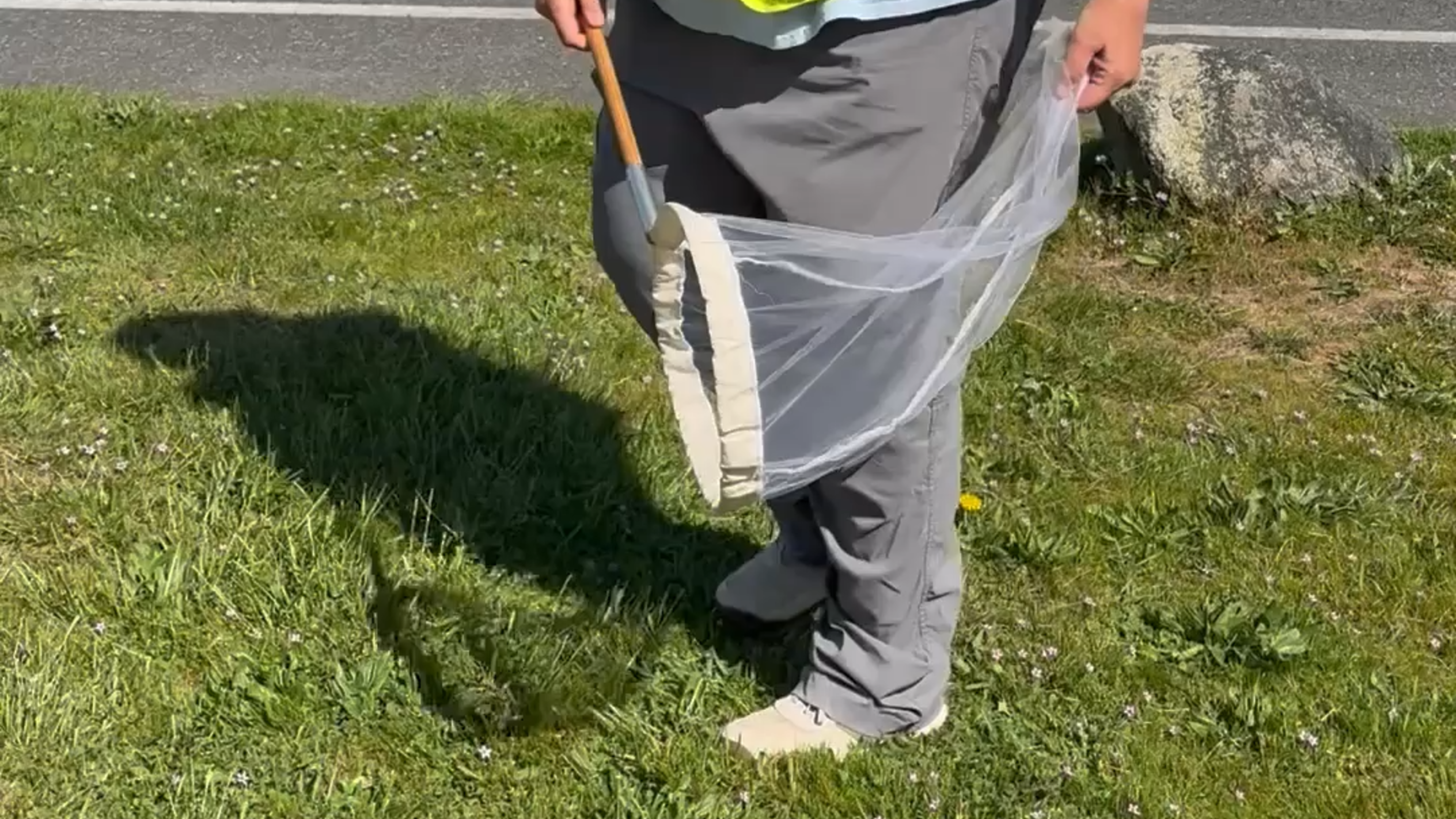 Collecting bees to understand them. How volunteers map Washington’s population