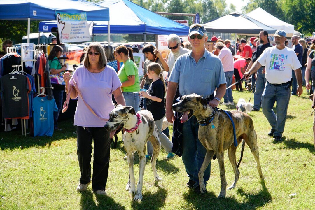 Woofstock 2015 attracts pets and their people