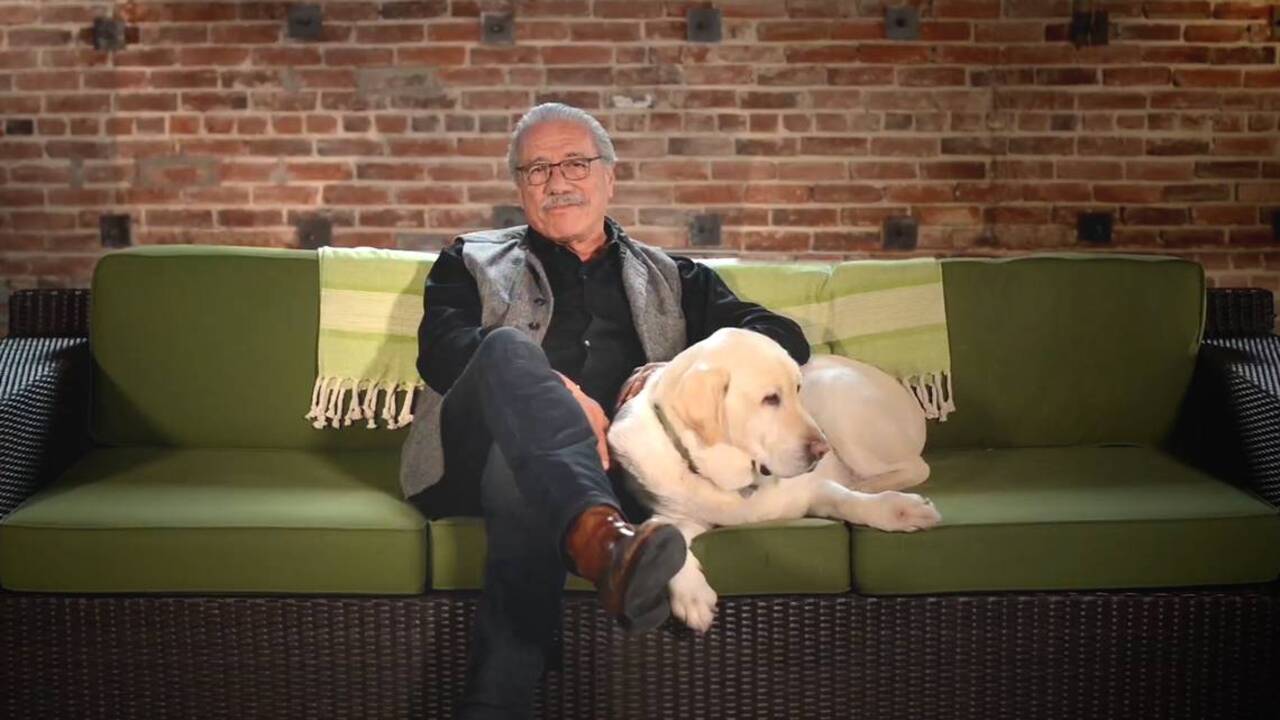 Pets spooked by Fourth of July fireworks? Here are tips to keep them safe at home