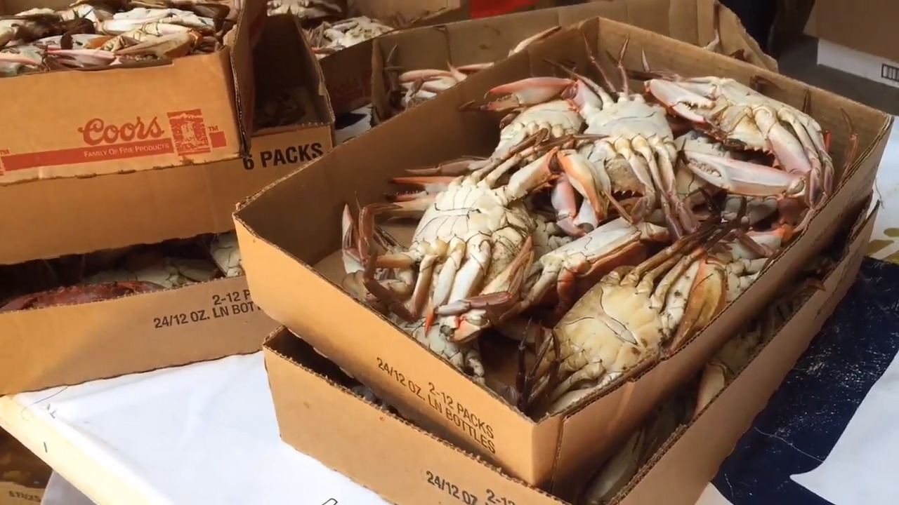 Cowboy Mouth, Crab Fest and other things to do on Fourth of July weekend