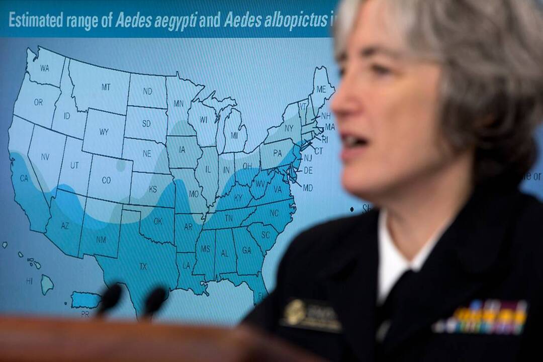 Zika, a threat we have been slow to take seriously