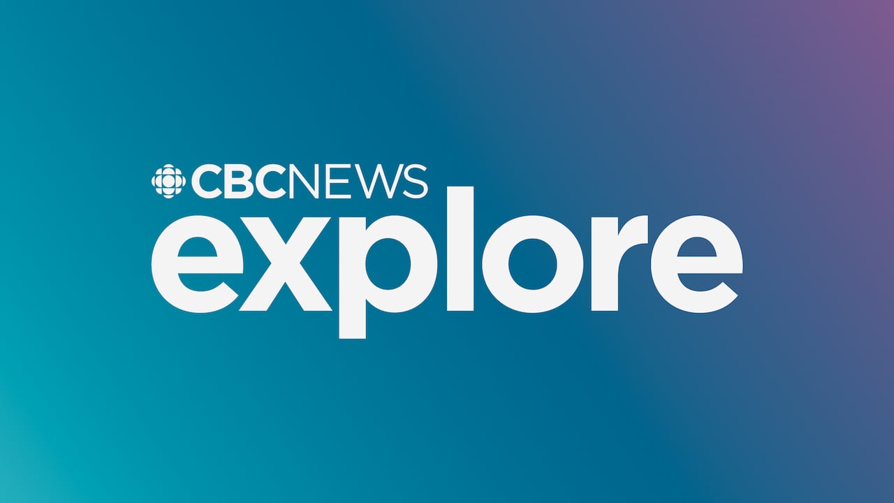 U.S. border patrol installs rock barriers to target illegal vehicle crossings