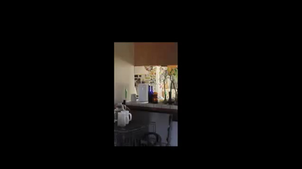 Dimensions: Scoopys Best Editing