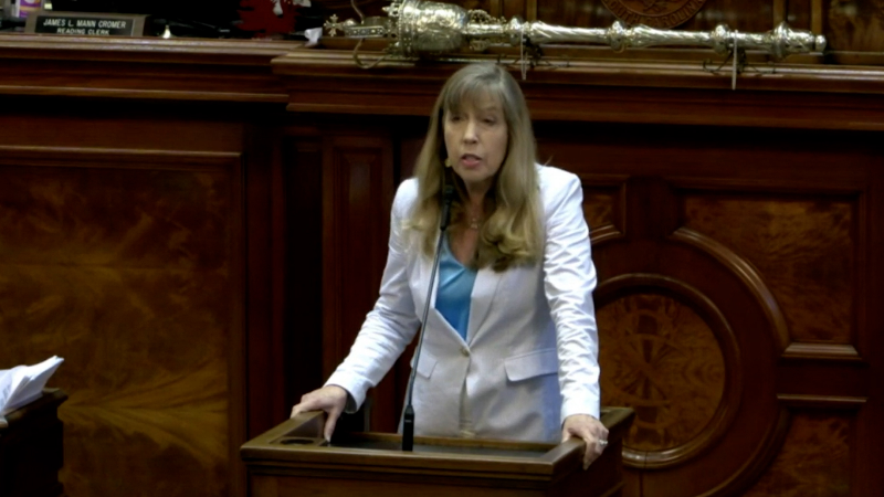 80% pay raises are just the start of the grift at the SC State House | Opinion