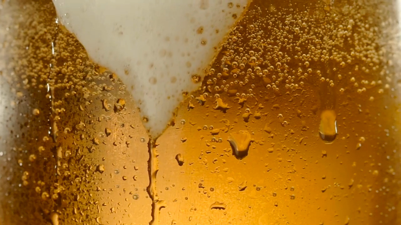 Highlights of the Sacramento beer scene: Check out these local breweries and festivals