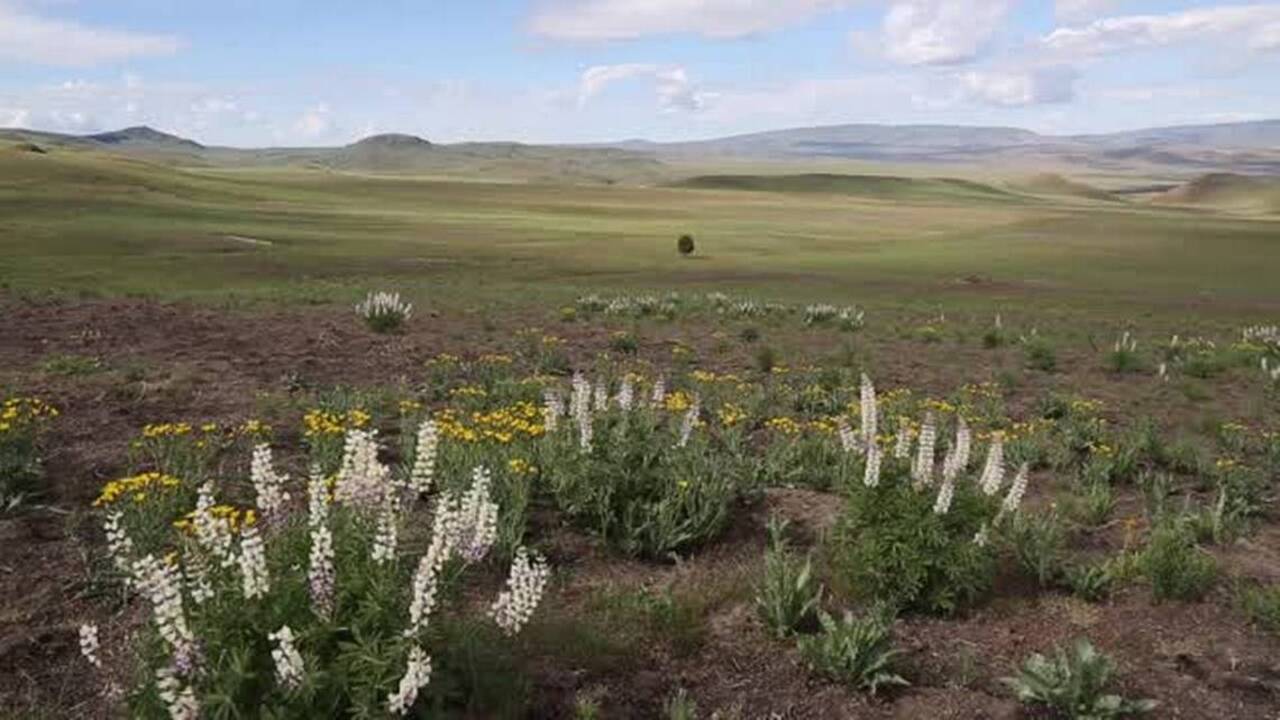 Interior Secretary Jewell visits Idaho, Soda Fire restoration