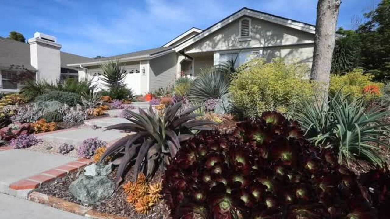 Tour this SLO garden full of succulents