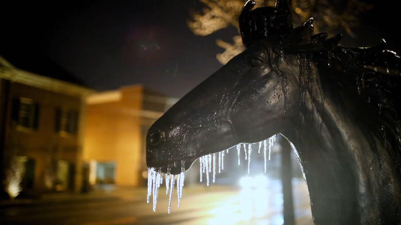 Watch freezing rain coat Lexington in sheets of overnight ice