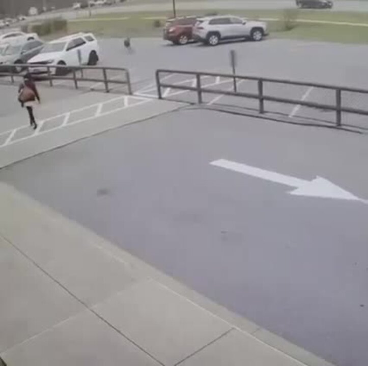 Almost ‘run over by a reindeer?’ Video shows parking lot close call at Centre County school