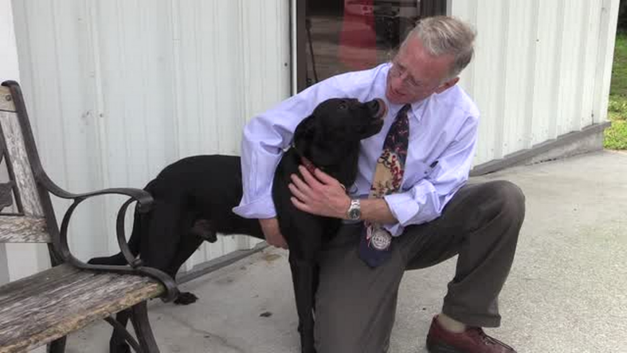 Padi dog bite bill, named after Bradenton dog, unanimously passes Florida Senate 