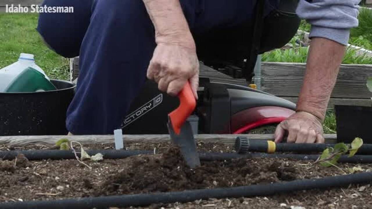Virus crisis has us focused on food supply. April is the time to start an Idaho garden