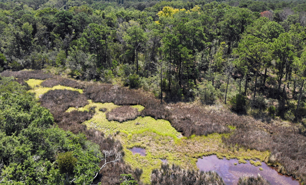 More than 200 homes to be built near these marshes on Hilton Head