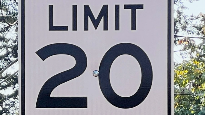 Bellingham lowers speed limit