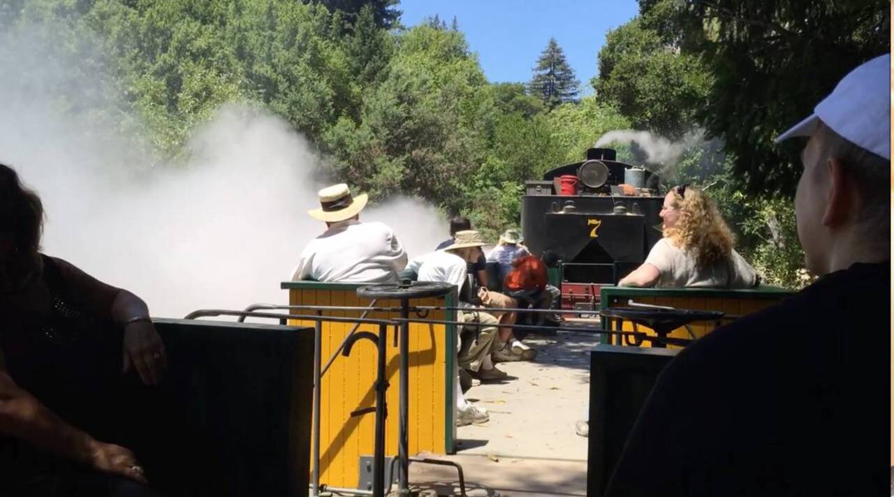 Ride along on a steam train through the redwood forest