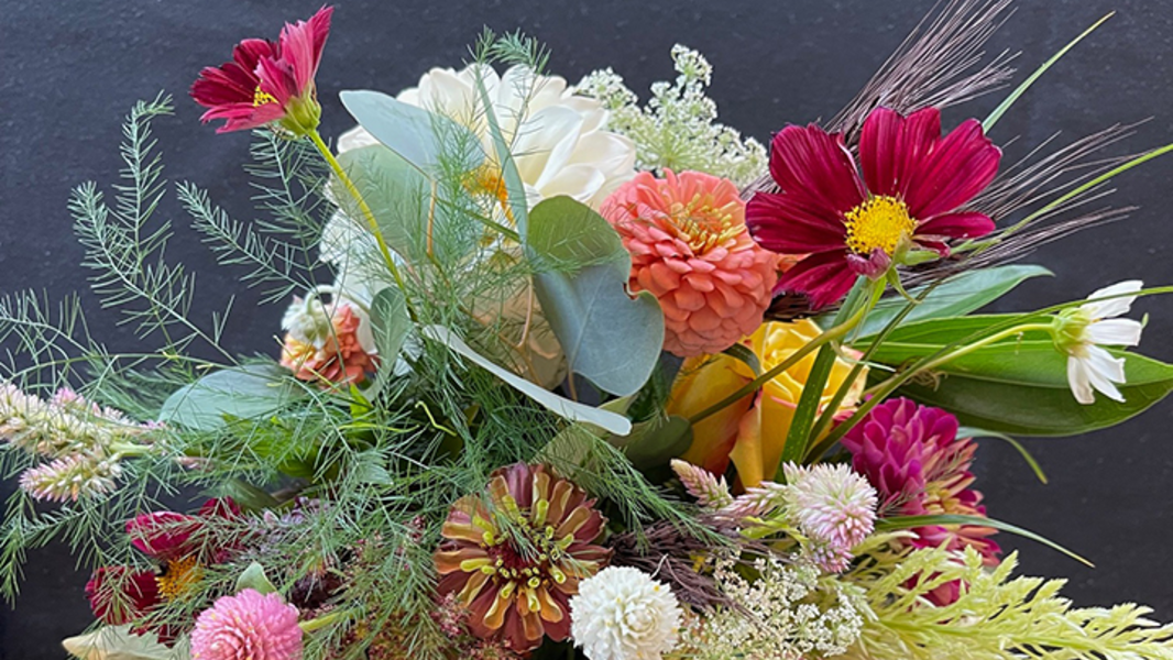 Elderslie Farm is adding a you-pick flower patch