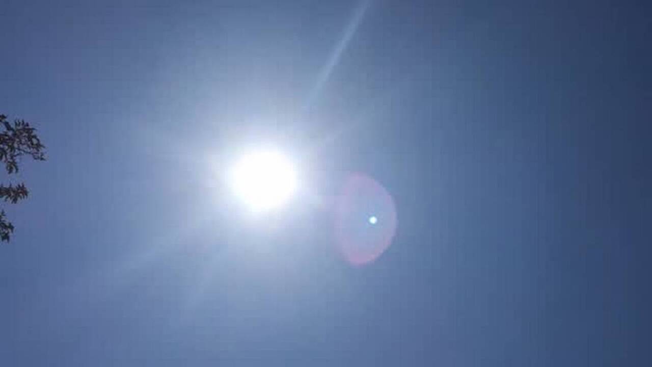 How to stay cool at the California Mid-State Fair