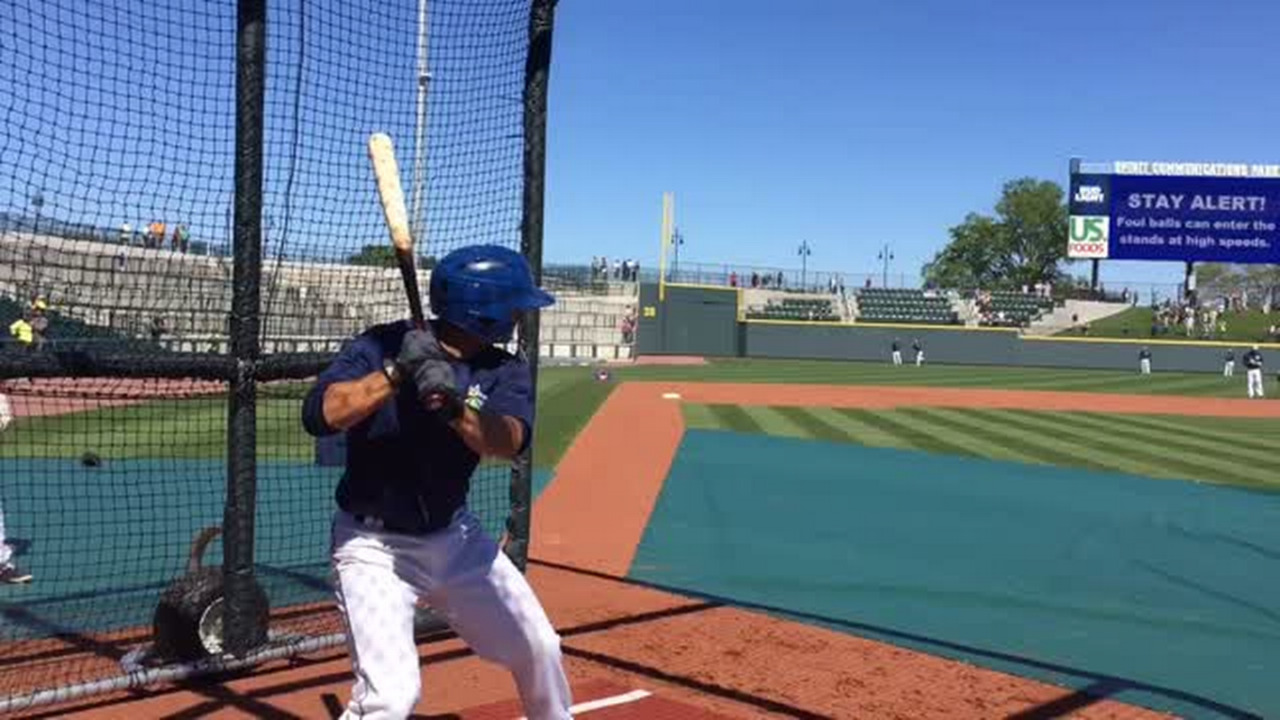 VIDEO: Fireflies Meet Columbia Baseball Fans