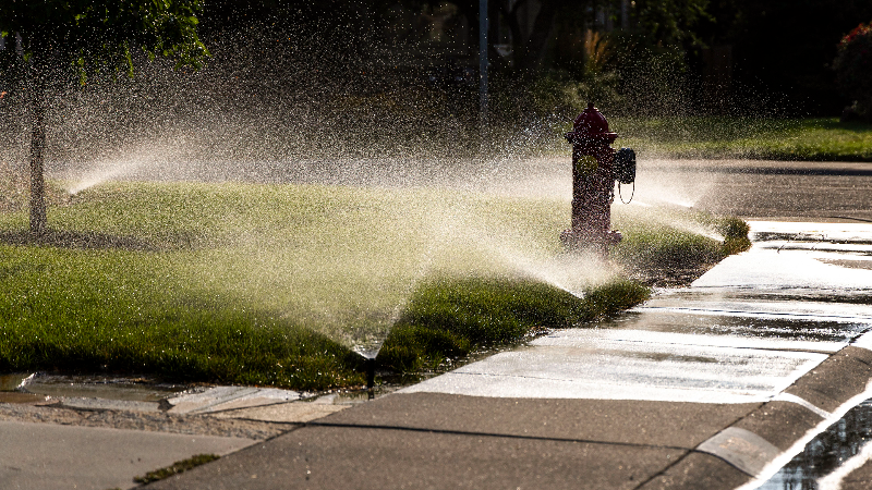 HOA requirement green lawns vs water conservation 