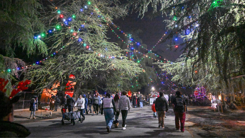 Walk-only nights illuminate the true human spirit of Fresno’s Christmas Tree Lane | Opinion